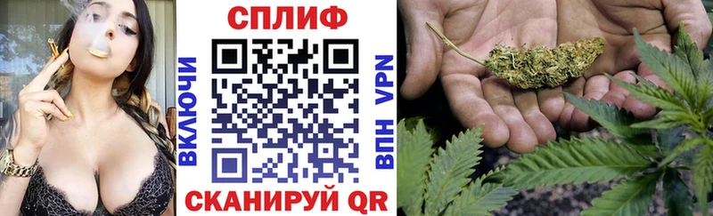 Бошки марихуана сатива  Борисоглебск 